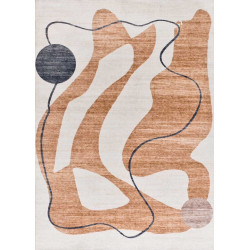 Alfombra Shiraz 22053