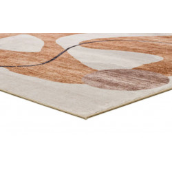 Alfombra Shiraz 22053